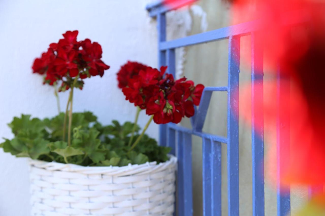Petalida Daire Keremetli Dış mekan fotoğraf